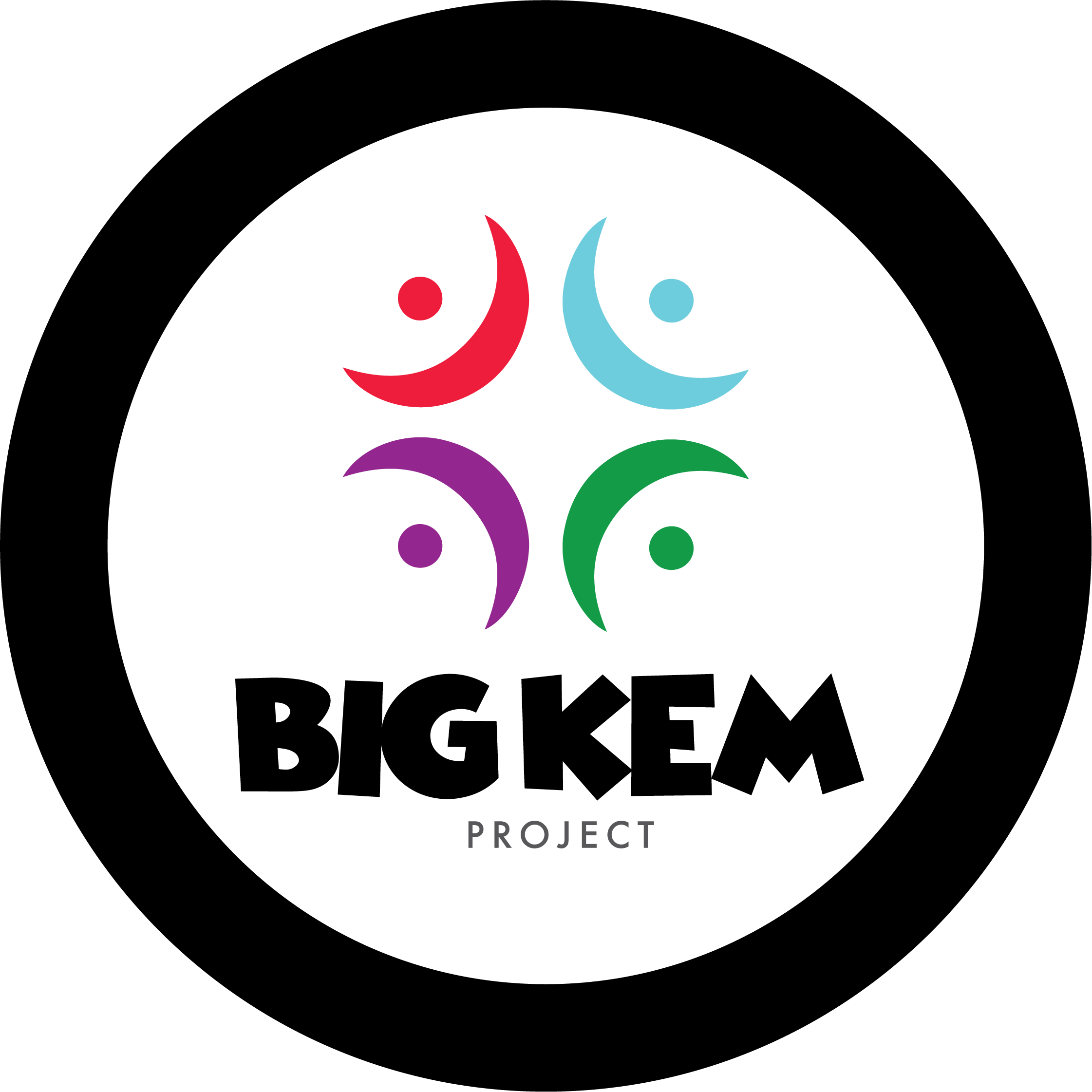 Big Kem Project Company